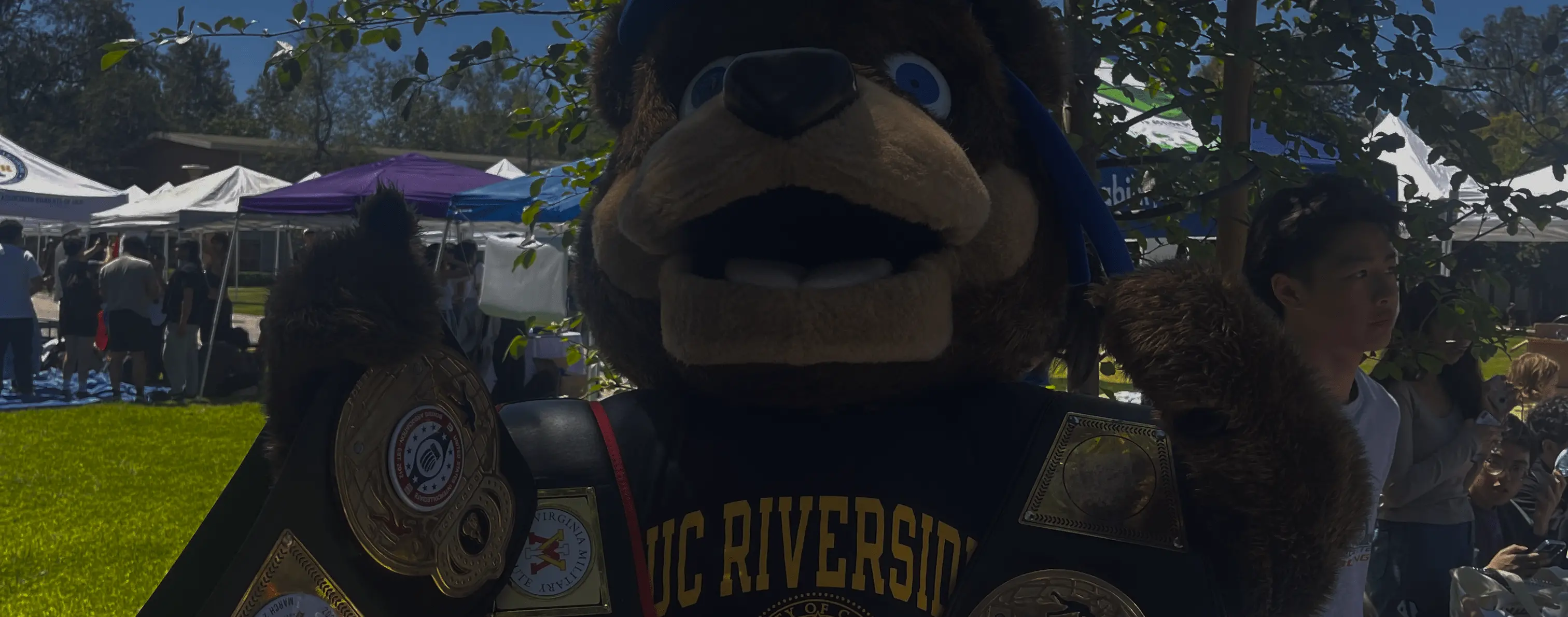 Meet the Board Header Image